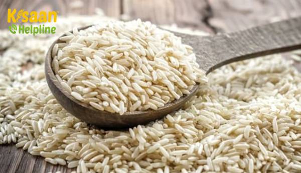 फोर्टिफाइड राइस की आपूर्ति को बढ़ावा देने के लिए सरकार ने एफसीआई को चावल मिलों के साथ गठजोड़ करने के लिए कहा फोर्टिफाइड राइस की आपूर्ति को बढ़ावा देने के लिए सरकार ने एफसीआई को चावल मिलों के साथ गठजोड़ करने के लिए कहा